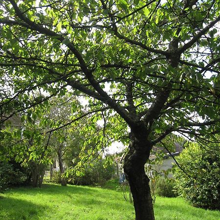 Maison Avec Grand Jardin Pour 15 Couchages En Normandie Cairon Kamer foto